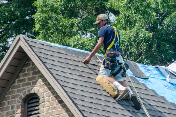 Roof Gutter Cleaning in Cedar Hills, OR